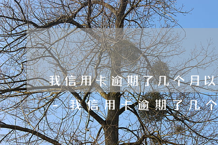 我信用卡逾期了几个月以前每个月都还一点-我信用卡逾期了几个月以前每个月都还一点怎么办