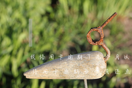 我信用卡逾期了几个月以前每个月都还一点（信用卡逾期每个月还点钱进去）