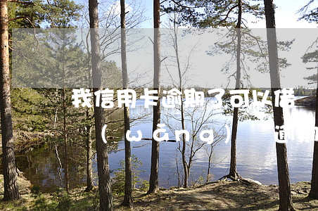 我信用卡逾期了可以借網(wǎng)貸嗎(網(wǎng)貸逾期后可以申請信用卡嗎)