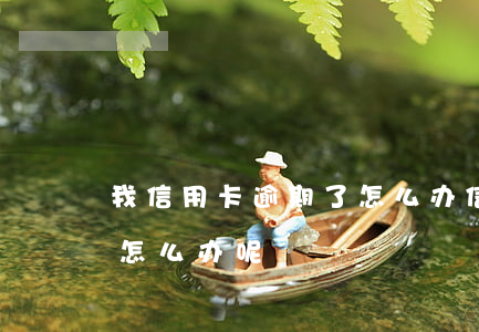 我信用卡逾期了怎么办（信用卡逾期被翻倍了怎么办呢）