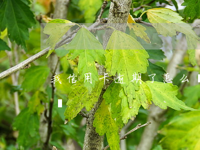 我信用卡逾期了怎么辦(信用卡逾期了該怎么辦)