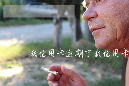 我信用卡逾期了(我信用卡逾期了哪個網貸)