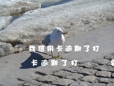 我信用卡逾期了打電話說要起訴我-我信用卡逾期了打電話說要起訴我是真的嗎