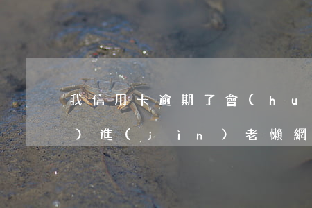 我信用卡逾期了會(huì)不會(huì)進(jìn)老懶網(wǎng)(為什么信用卡逾期)