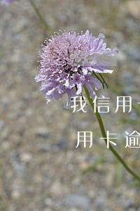 我信用卡逾期了會(huì)影響工作嗎（信用卡逾期會(huì)影響考老師嗎）