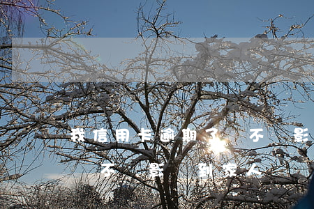 我信用卡逾期了會不會影響家人（信用卡逾期會不會影響到家人）