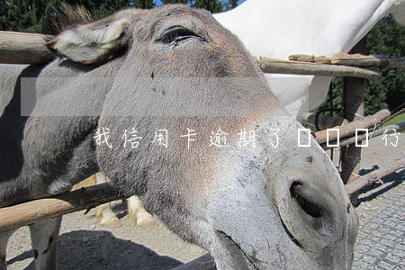 我信用卡逾期了（齊魯銀行信用卡逾期一天）