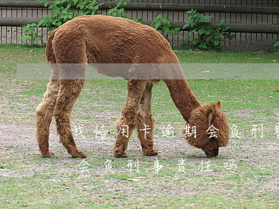我信用卡逾期会负刑事责任吗（我信用卡逾期会负刑事责任吗）