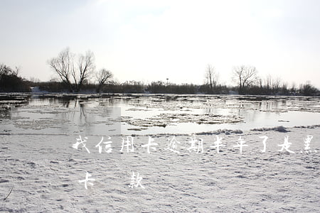 我信用卡逾期半年了是黑戶嗎（黑戶逾期信用卡貸款）