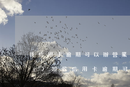 我信用卡逾期可以辦營業(yè)執(zhí)照(我信用卡逾期可以辦營業(yè)執(zhí)照嗎)