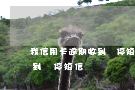 我信用卡逾期收到開停短信(我信用卡逾期收到開停短信)