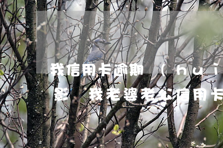 我信用卡逾期會(huì)不會(huì)影響我老婆（老公信用卡逾期會(huì)去老婆公司嗎）