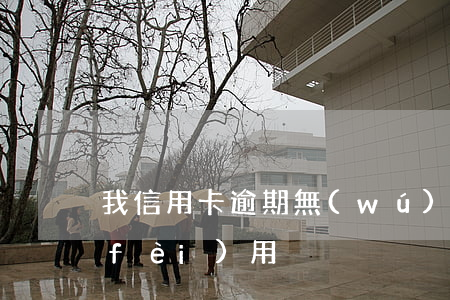 我信用卡逾期無(wú)償 信用卡 逾期 費(fèi)用