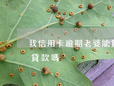 我信用卡逾期老婆能貸款嗎(老公有逾期我能貸款嗎)
