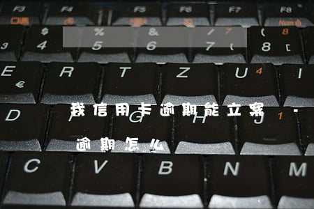 我信用卡逾期能立案嗎-因刑事案件信用卡逾期怎么辦