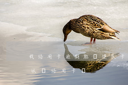 我信用卡逾期能辦便民卡嗎(辦了便民卡還可以辦信用卡嗎)