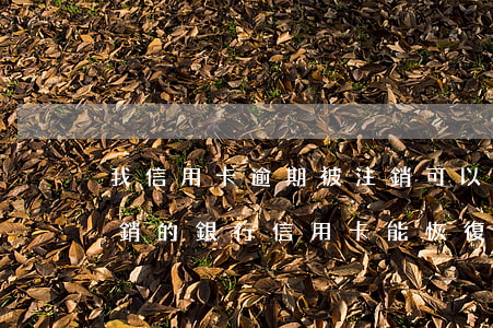 我信用卡逾期被注銷可以恢復(fù)嗎(注銷的銀行信用卡能恢復(fù)嗎)