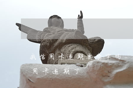 我信用卡逾期要坐牢吗-刚坐牢释放出来信用卡逾期了