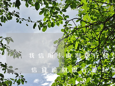 我信用卡逾期銀行發(fā)函我老婆(銀行信貸逾期銀行要起訴我)