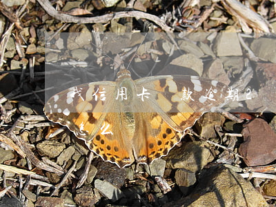 我信用卡還款逾期2個月(逾期兩年的信用卡怎么還)