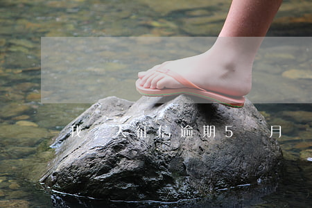 我個人征信逾期5個月(個人征信逾期兩個月)