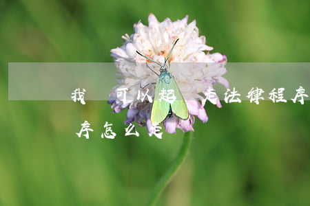 我們可以起訴走法律程序嗎(打官司走法律程序怎么走)