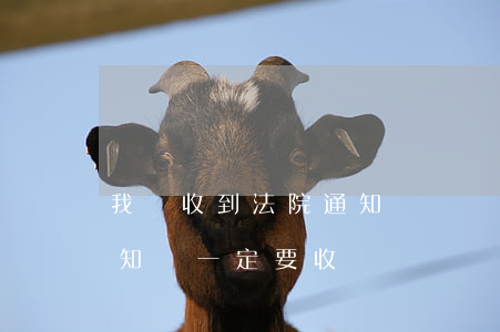 我們收到法院通知書應該怎么做(法院起訴通知書一定要收嗎)