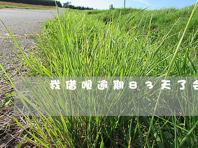 我借呗逾期83天了会怎样(借呗逾期了三天)