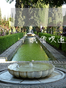 我借呗逾期能分期还吗