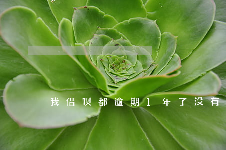 我借呗都逾期1年了没有上征信-