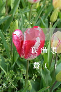 我借唄1500都逾期了(借唄5000逾期費(fèi)用是多少)