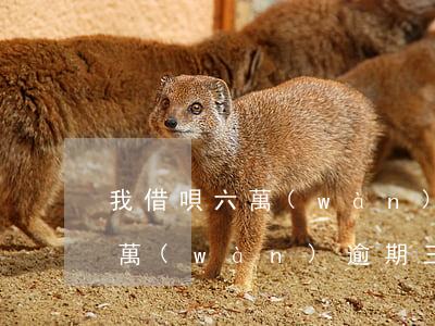 我借唄六萬(wàn)都逾期3年了(借唄五萬(wàn)逾期三年能翻到多少)