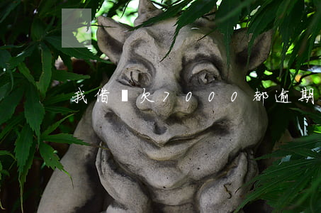 我借唄欠7000都逾期5年了-