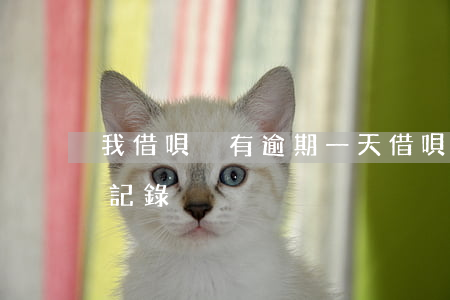 我借唄沒有逾期一天(借唄逾期一天沒有逾期記錄)