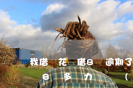 我借唄花唄借8萬逾期了怎么辦-欠花唄借唄8萬多無力償還會(huì)有什么后果