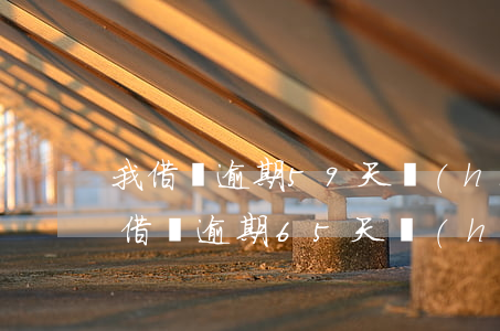 我借唄逾期59天會(huì)被起訴嗎-借唄逾期65天會(huì)怎么樣