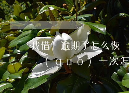 我借唄逾期了怎么恢復(fù)呀(借唄逾期過(guò)一次怎么補(bǔ)救)