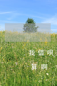 我借唄逾期怎么算(借唄逾期怎么計(jì)算啊?)