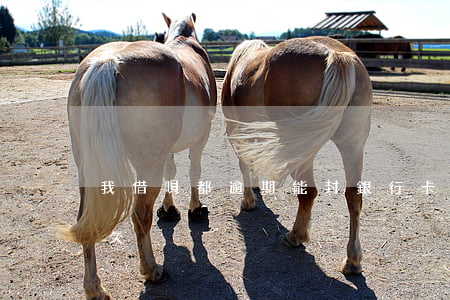 我借唄都逾期能封銀行卡么(借唄逾期會封多久)