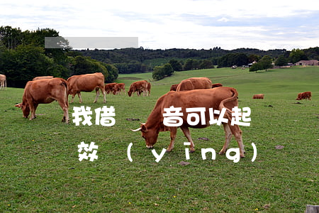 我借錢錄音可以起訴嗎(錄音借錢錄音有法律效應(yīng)嗎)