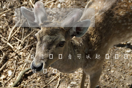 我借錢錄音可以起訴嗎(錄音借錢錄音有法律效應嗎)