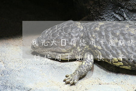 我光大銀行信用卡逾期快半年了-我光大銀行信用卡逾期快半年了怎么辦