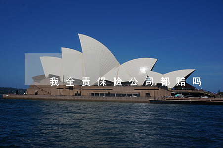 我全责保险公司都赔吗