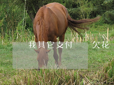 我其它支付寶還欠花唄(支付寶的花唄還用還嗎)