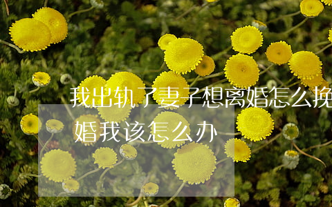 我出轨了妻子想离婚怎么挽回(妻子出轨闹离婚,我该怎么办)