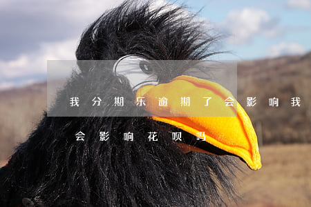 我分期乐逾期了会影响我花呗吗(分期乐不还会影响花呗吗)