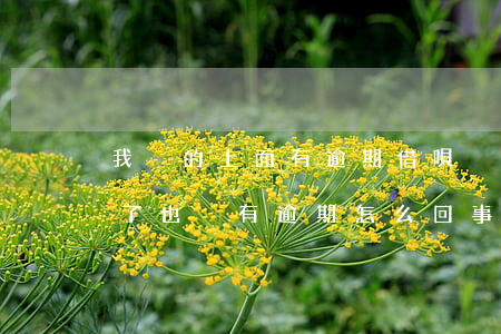 我別的上面有逾期借唄沒有(借唄突然不能用了,也沒有逾期,怎么回事)