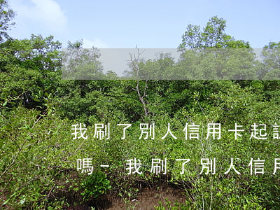 我刷了別人信用卡起訴我會(huì)坐牢嗎-我刷了別人信用卡起訴我會(huì)坐牢嗎怎么辦