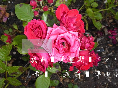 我前幾年逾期現(xiàn)在可以辦信用卡嗎-我前幾年逾期現(xiàn)在可以辦信用卡嗎怎么辦