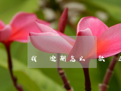 我剛逾期怎么貸款買房(貸款買房逾期了怎么辦)